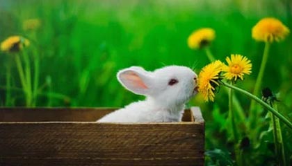 九游娱乐官网 (JIUYOU)-英格兰守门员扑点建奇功，英格兰守门员2021