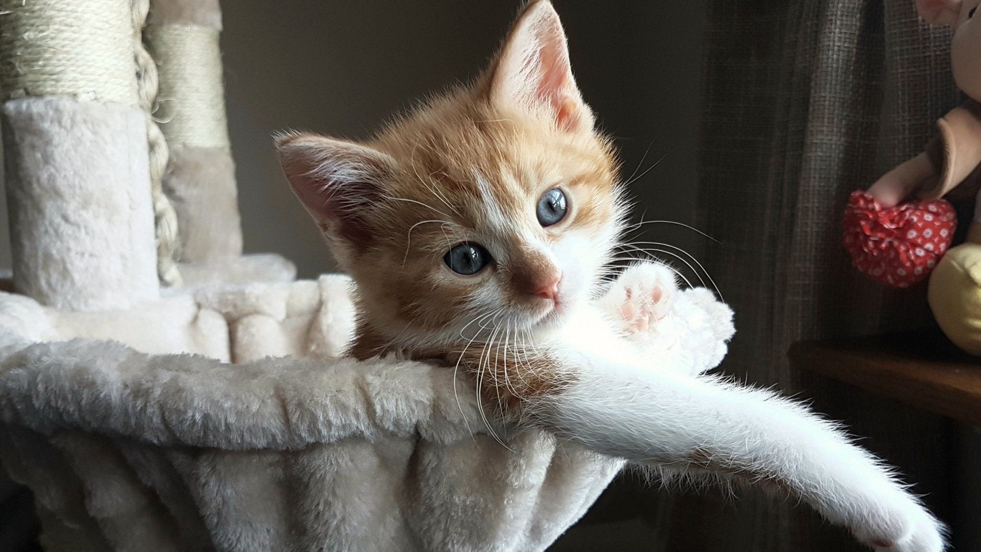 _新生代运动员名言:成长路上的励志故事_,运动员人生格言励志