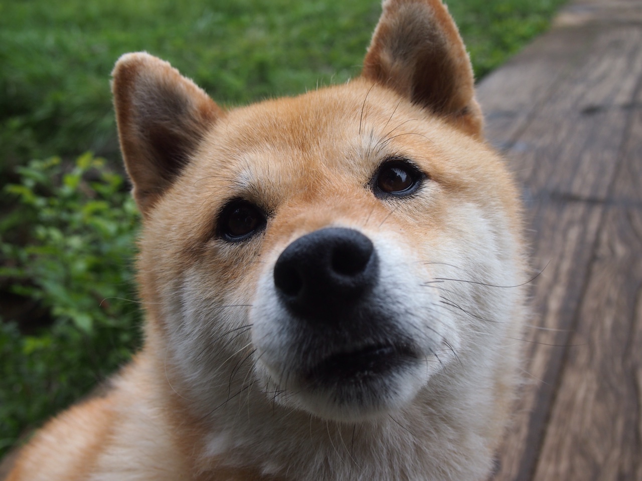 史上最强阵容：NBA历史上的黄金阵容推荐，nba历史最强阵容图片