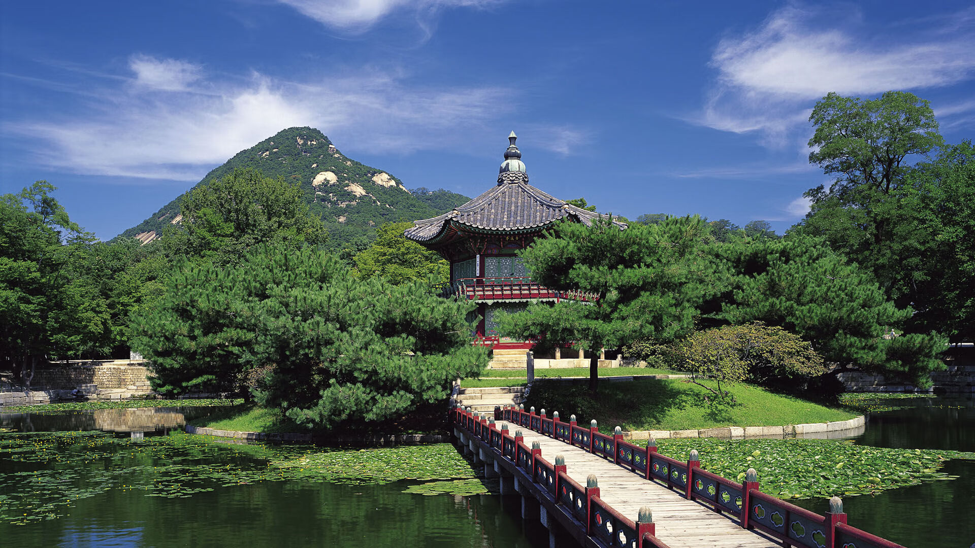 弗鲁米嫩塞赢得2024年南美超级杯冠军，弗鲁米嫩塞队