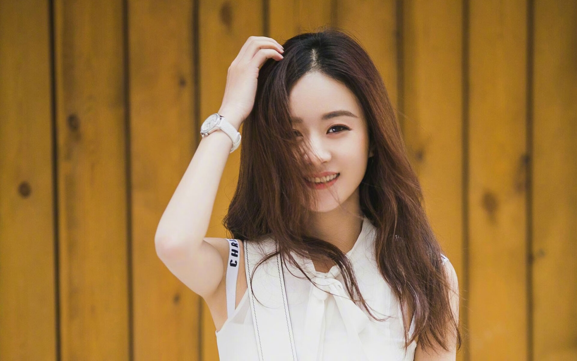 球迷动态:最炙手可热的球迷互动与应援,球迷聚集