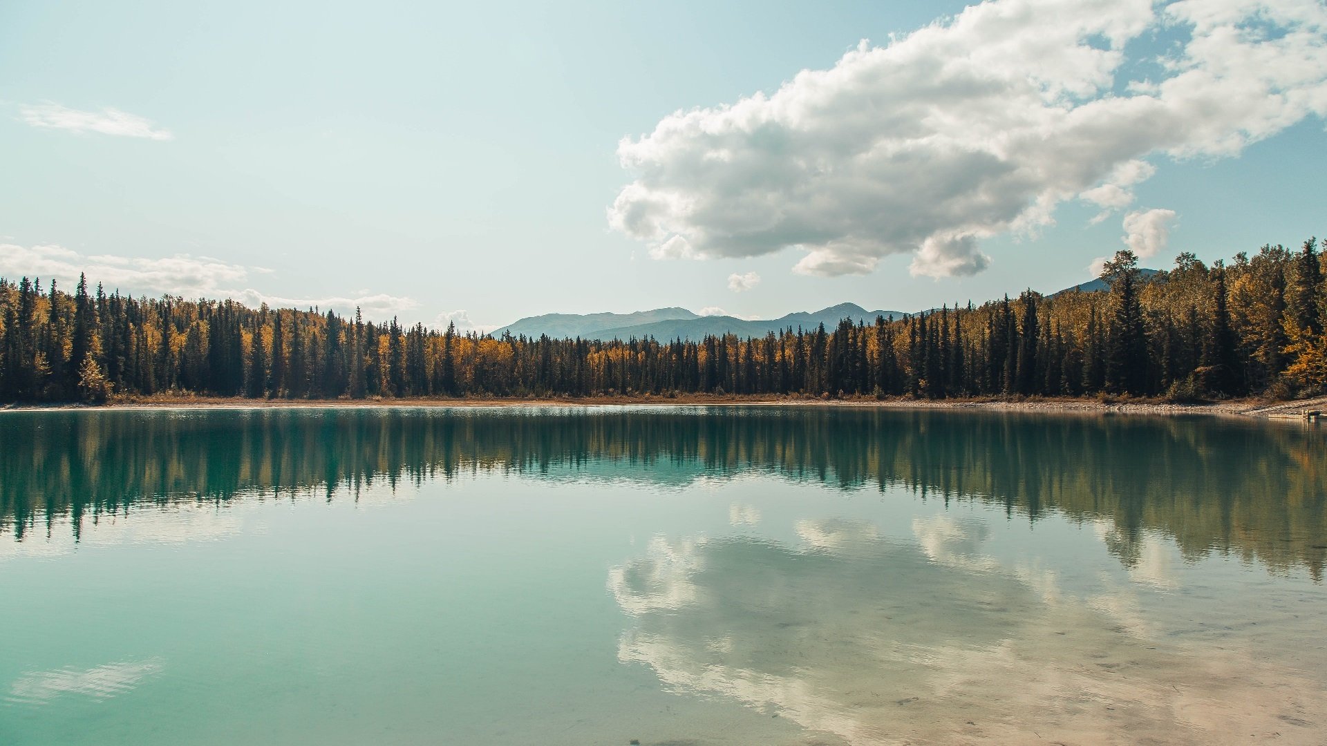 九游娱乐APP-篮球明星公益赛事吸引大量球迷关注，篮球明星比赛