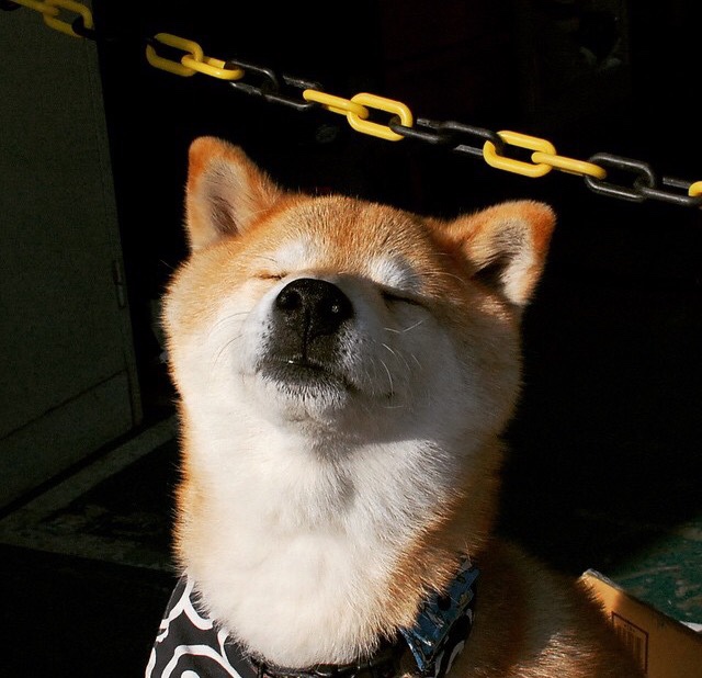 长春亚泰连续五轮不败状态火热,长春亚泰阵容