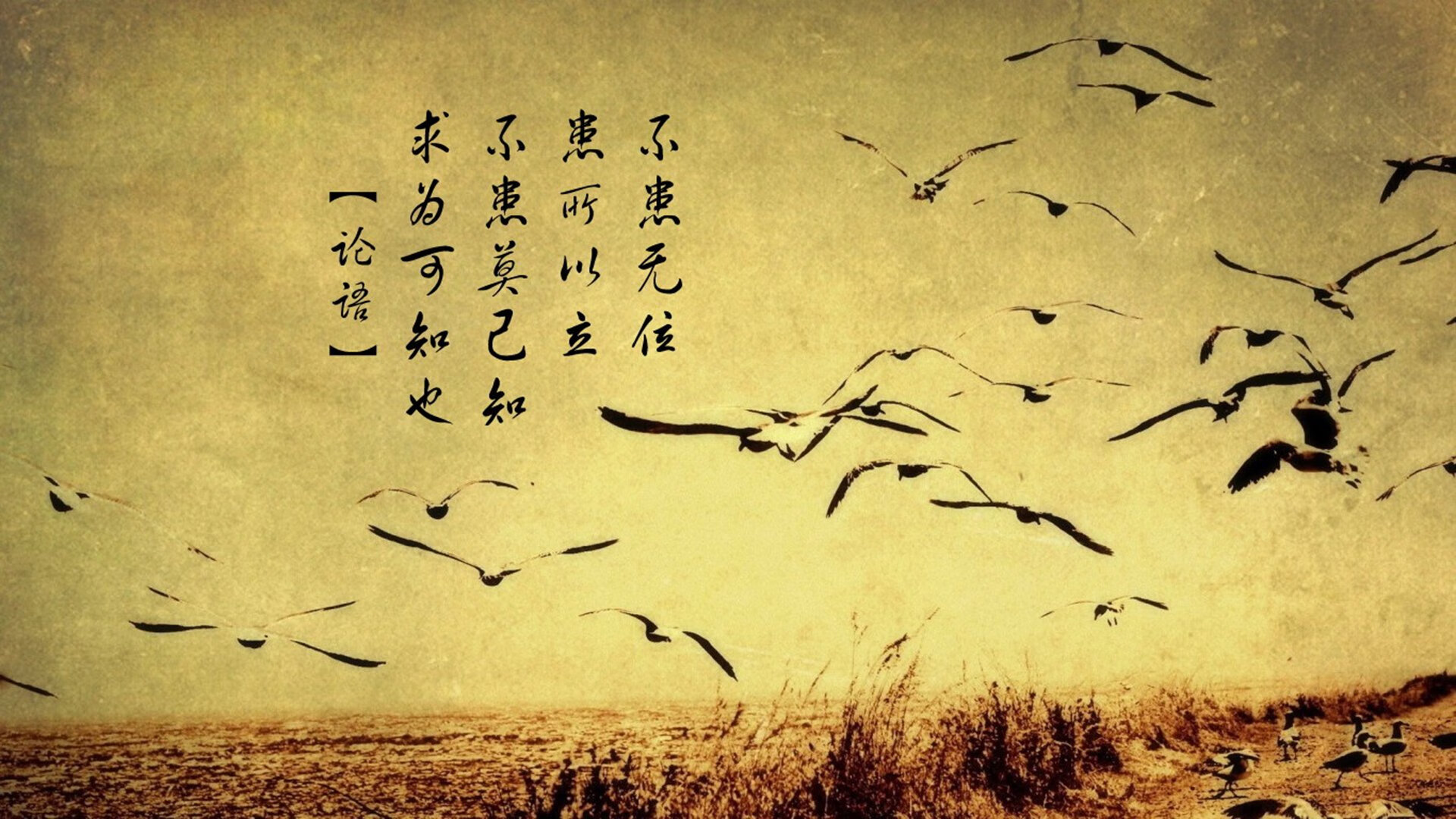 体育界重拳出击,足球比赛不断升温,足球比赛即将拉开帷幕,队员们彼此发出