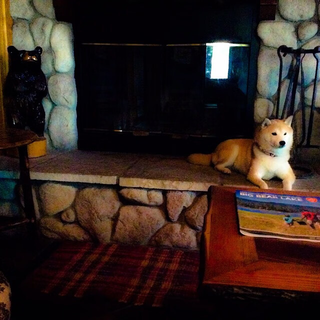 电竞电竞游戏内社交系统设计对玩家粘性促进作用分析,电竞游戏的社会