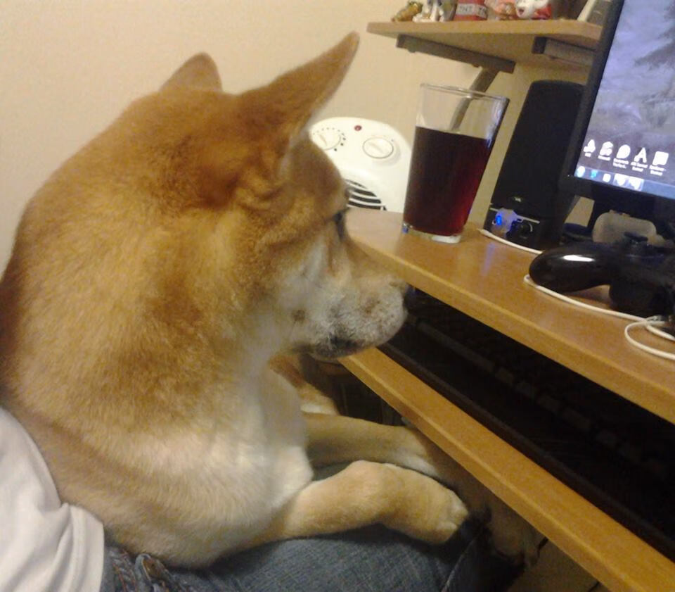 九游官网pc-职业篮球俱乐部资金运作，篮球俱乐部如何盈利