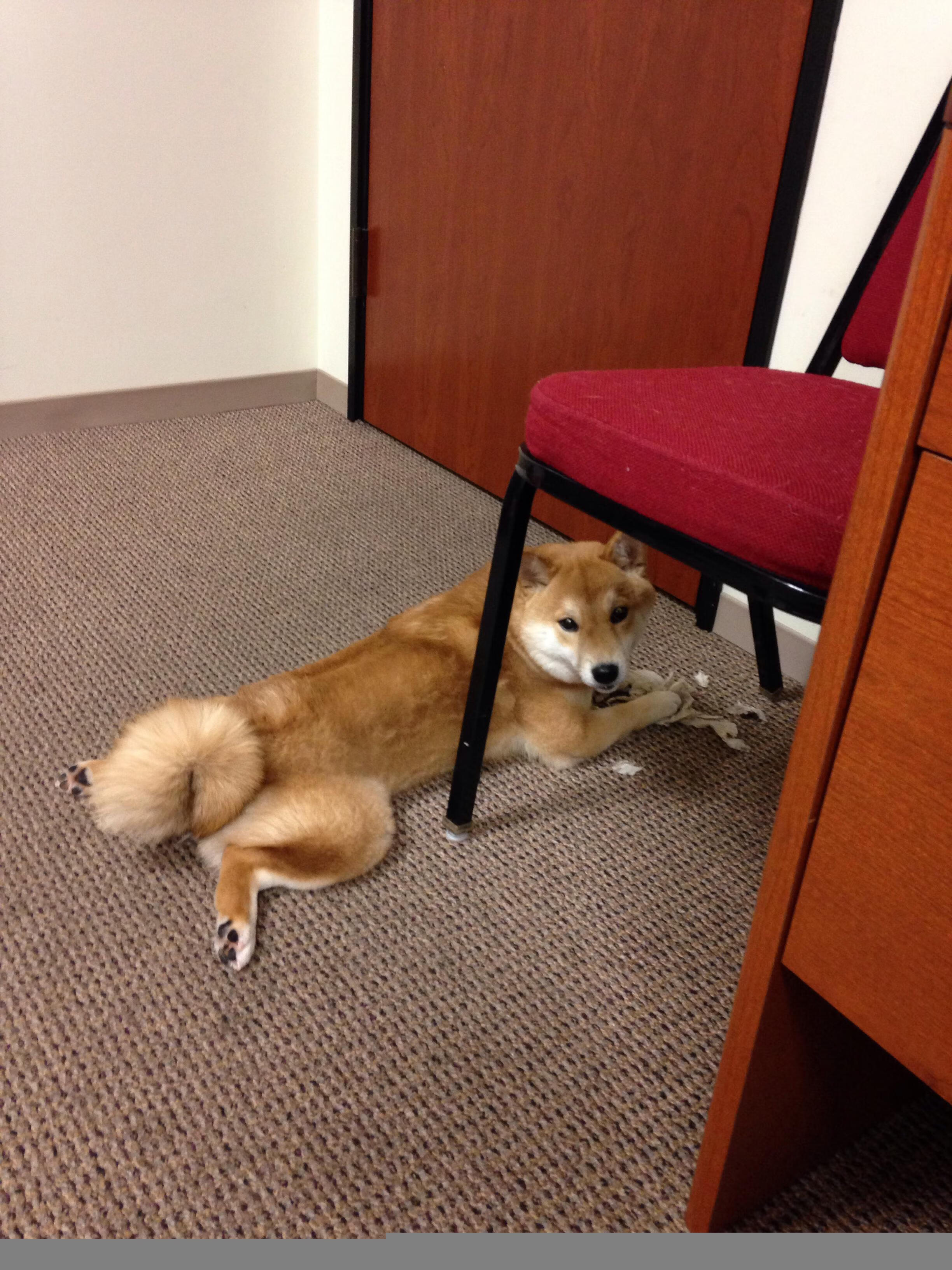 九游网页版官网-莱加内斯主场力克对手，取得三分，莱加内斯球员名单