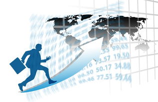 九游app下载中心-中国篮球职业联赛赛事运营管理优化研究，中国篮球竞赛体系