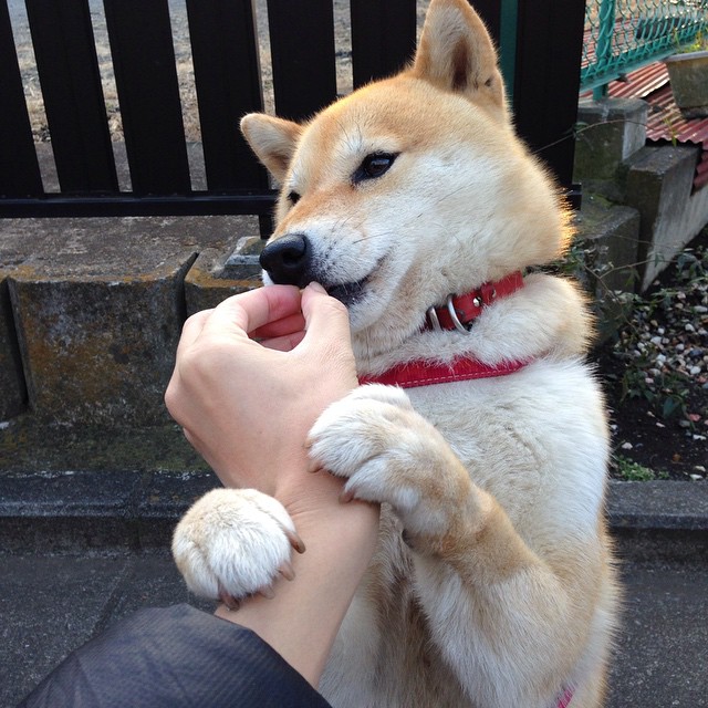 中国足球比赛关键回合决策质量分析,足球有几个回合