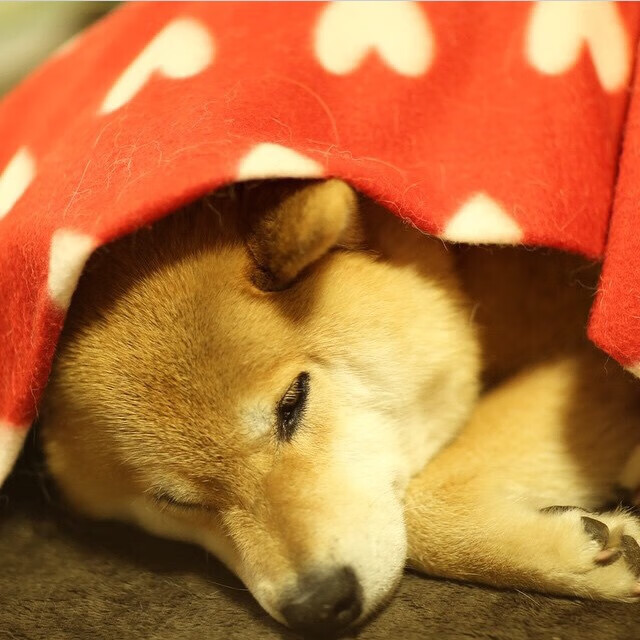 中国足球比赛关键回合决策质量分析,足球有几个回合