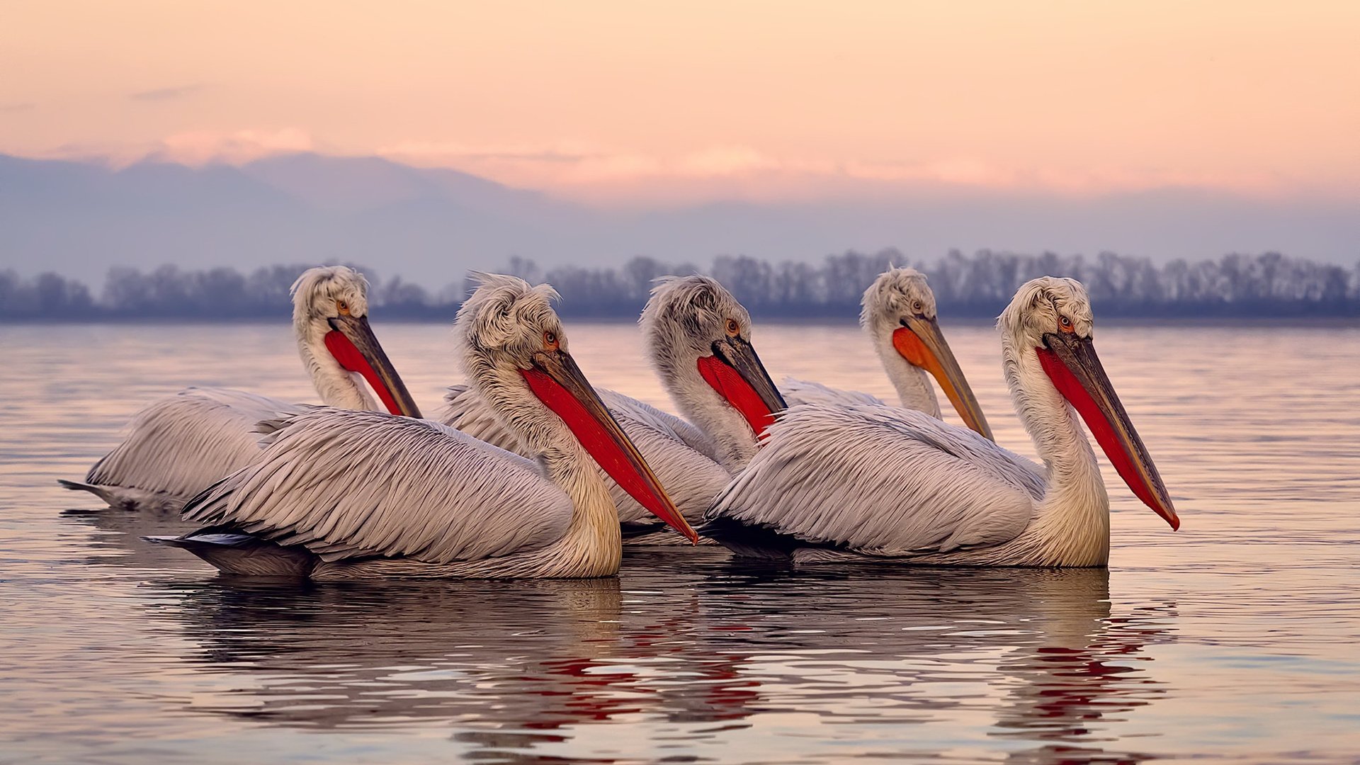 球场外的战斗：比赛背后的战术较量分析，球场战术板图片