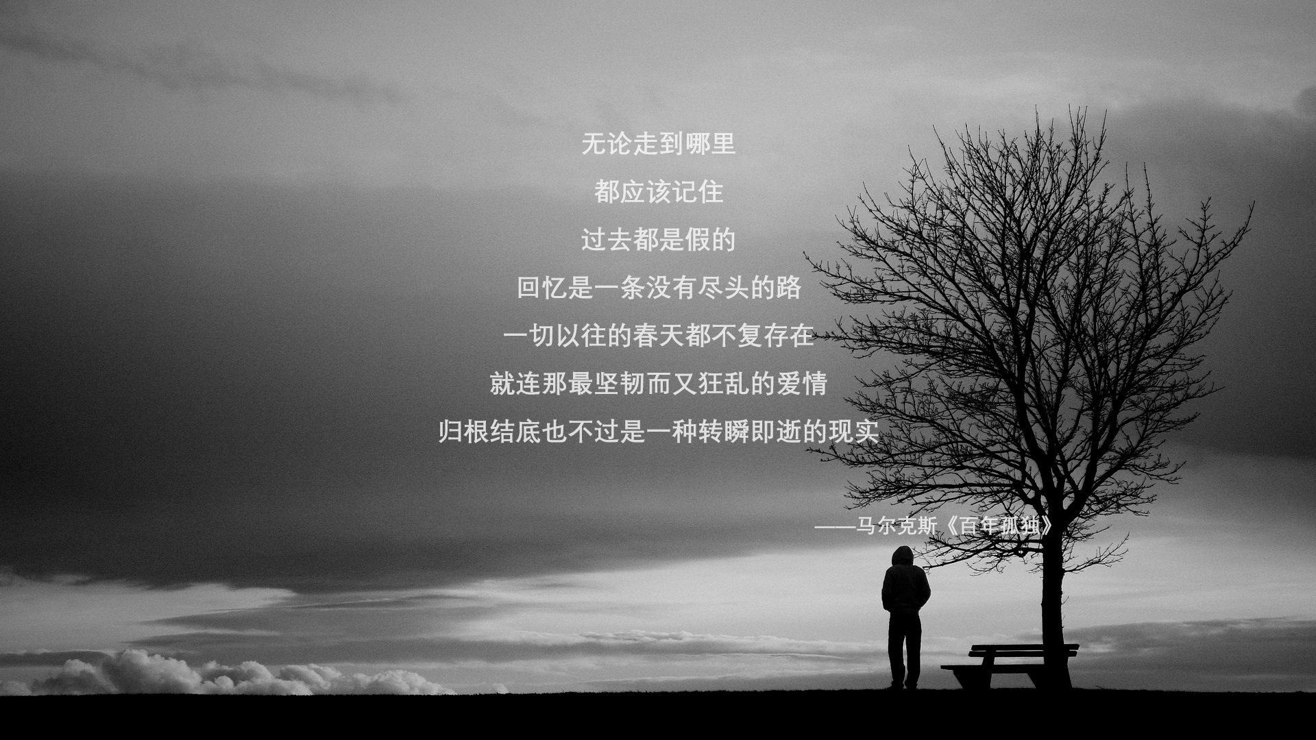 -“徒步定向越野：东部新区赛场上演智慧与速度的竞逐”