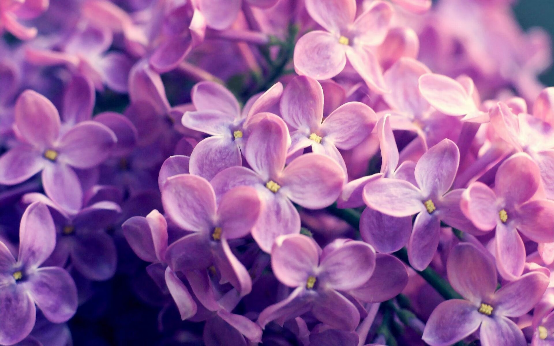 中国男篮提高防守强度 降低对手得分机会,中国男篮提高防守强度 降低对手得分机会多少