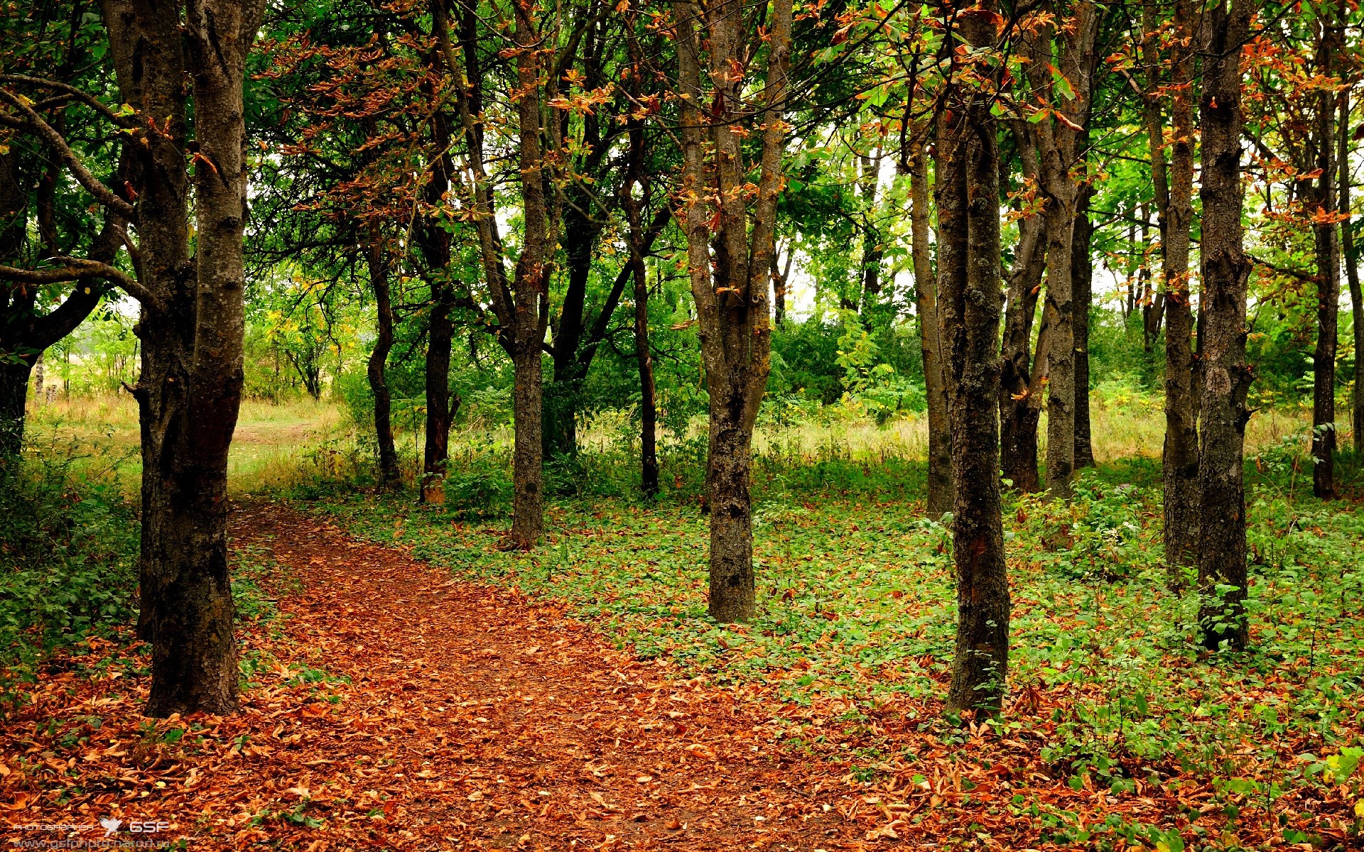 九游官网下载电脑版-球队从落后到反超的节奏控制细节，足球落后反超