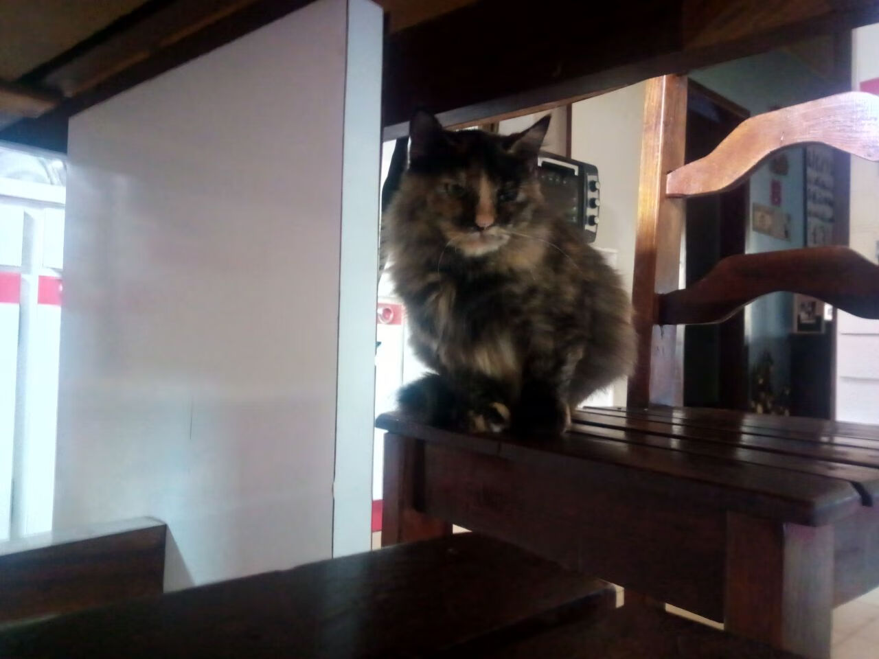 九游游戏中心-科特迪瓦男篮在非洲锦标赛中持续升温，体育画卷逐伸展，科特迪瓦男子足球队