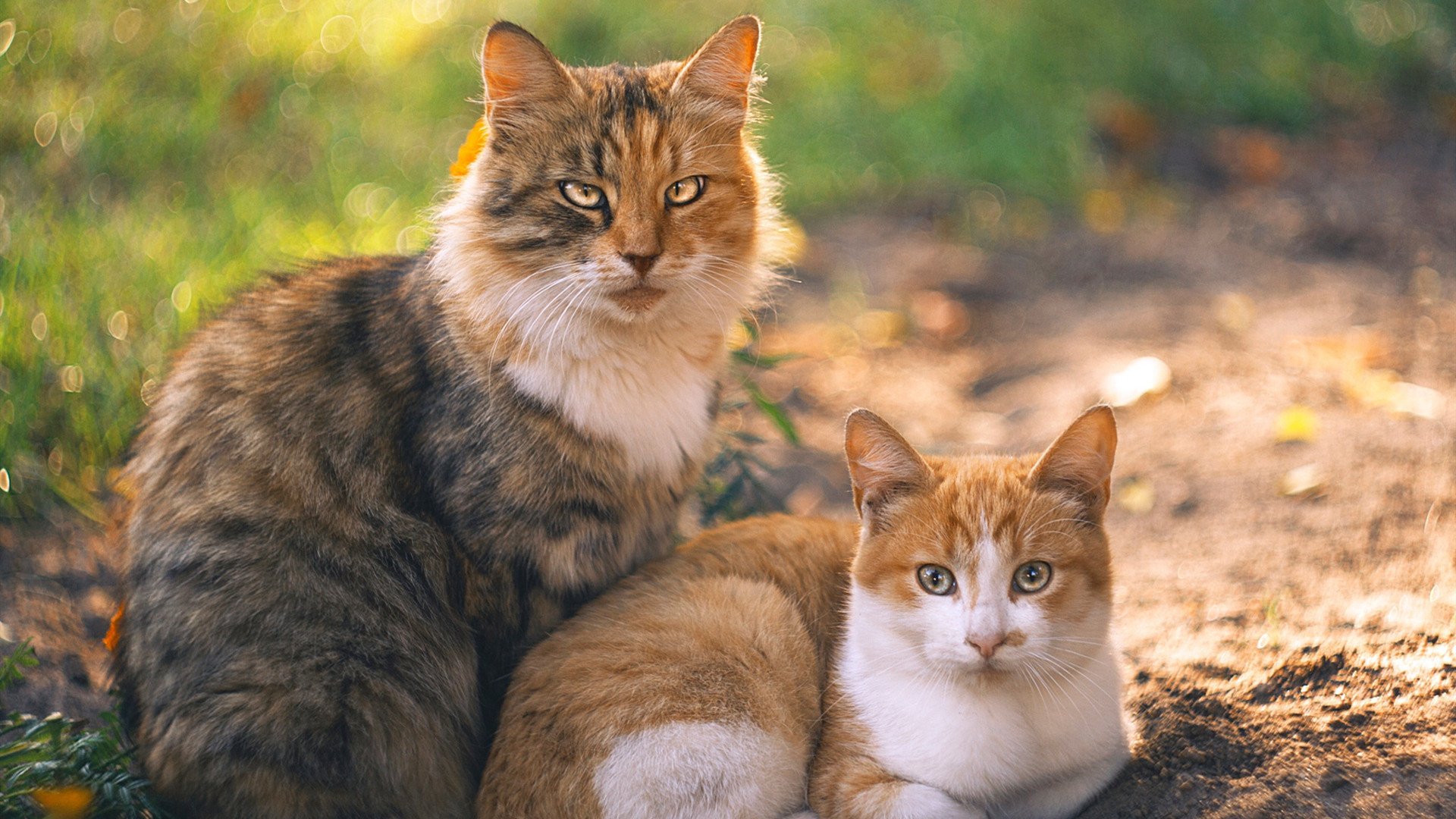 -西甲历史战役：永远不会忘记的经典对决，西甲 历史