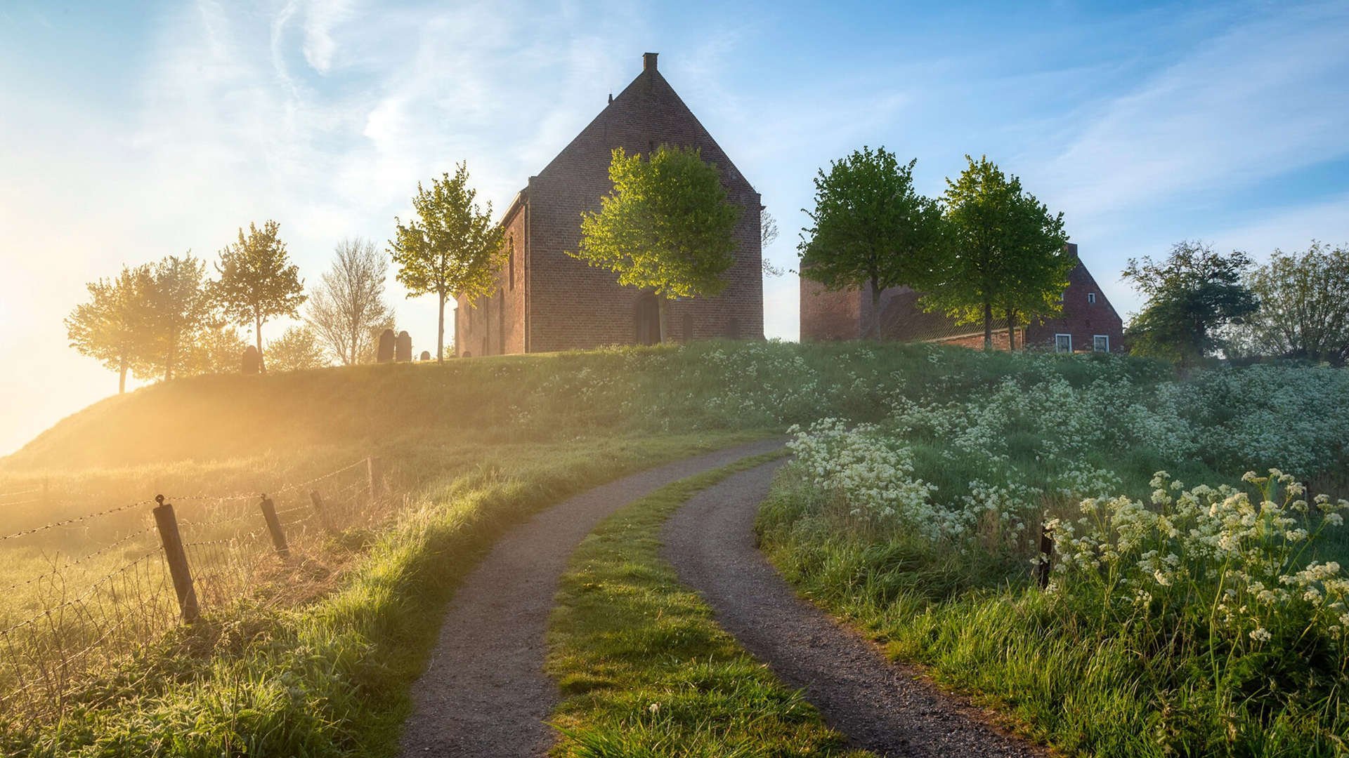 九游娱乐官网 (JIUYOU)-阿尔及利亚男篮在非洲预赛中持续奋战，争夺奥运席位，阿尔及利亚足球